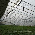 Agricultural vegetable sprinkler irrigation system